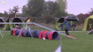 Midnigt Lovers Freykja Midnigt Lovers Freykja