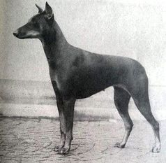 Betty von der Neuburg Betty von der Neuburg
