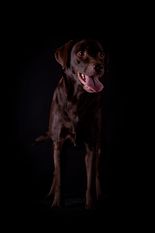 Waska vom Sirius Waska vom Sirius