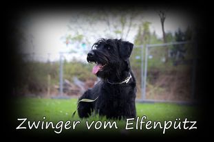 Fenja vom Hexenwald Fenja vom Hexenwald