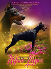 Fort Bellators Hefina-Pepper Fort Bellators Hefina-Pepper