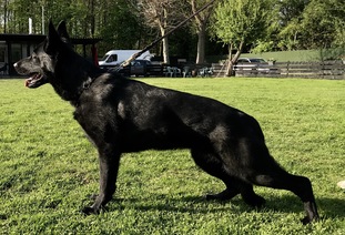 Charlotte von Büttgen Charlotte von Büttgen