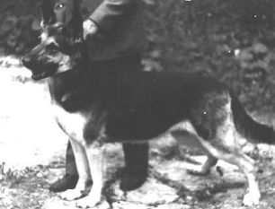 Boyana (Karavaev) Boyana (Karavaev)