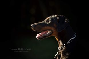 Helene Holly Miratio Helene Holly Miratio