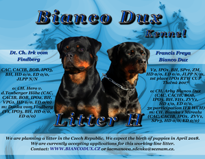 Francis Freya Bianco Dux Francis Freya Bianco Dux