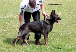 Gerdi von Bad Hirz Gerdi von Bad Hirz