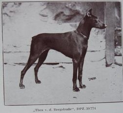 Thea von der Bergstrasse Thea von der Bergstrasse