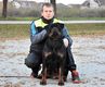 Zoran Stanimirovic Zoran Stanimirovic