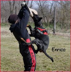 Enrico di Esposito Enrico di Esposito