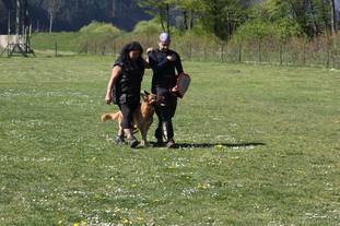Finka von Ebliacker Bühl Finka von Ebliacker Bühl