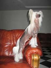 Melanies Rerity Bakardi Melanies Rerity Bakardi
