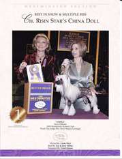 Risin Star's China Doll Risin Star's China Doll