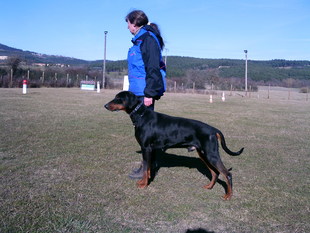 I-Ryowic Redding von Bolcanstern I-Ryowic Redding von Bolcanstern