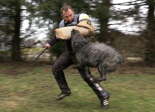 Loki von Lieblingen Loki von Lieblingen