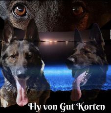 Fly von Gut Korten Fly von Gut Korten
