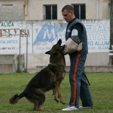 Enzo de Pozalmuro Enzo de Pozalmuro