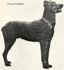 Prinzessin von der Traun Prinzessin von der Traun
