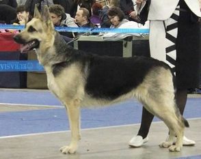 DAGMARA iz SEREBRYANY ROSSOV DAGMARA iz SEREBRYANY ROSSOV