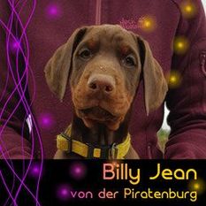 Billy Jean von der Piratenburg Billy Jean von der Piratenburg
