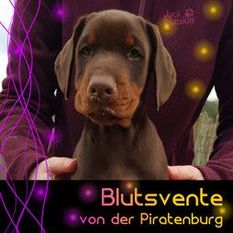 Blutsvente von der Piratenburg Blutsvente von der Piratenburg