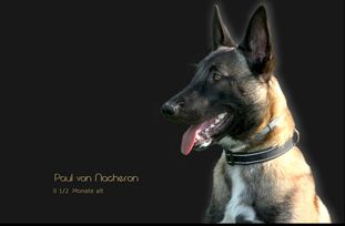 Paul von Nacheron Paul von Nacheron