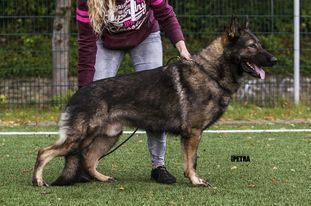 Kliff vom Floyd Haus Kliff vom Floyd Haus