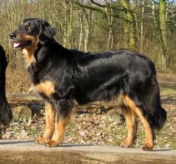 Paigee von Arminius Paigee von Arminius