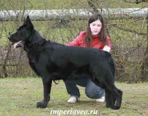 Rus Vant Shivaro Rus Vant Shivaro