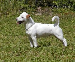 Bodil S 38090/2003 Bodil S 38090/2003