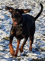 Arya von der Stutenseeresidenz Arya von der Stutenseeresidenz