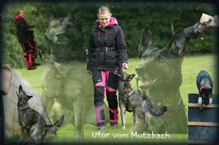 Ufor vom Mutzbach Ufor vom Mutzbach