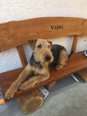Zino von Haus Schirmer Zino von Haus Schirmer