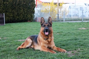 Eros von Mare Eros von Mare