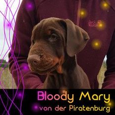 Bloody Mary von der Piratenburg Bloody Mary von der Piratenburg