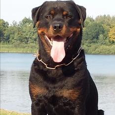 Rask von Nessaya Rask von Nessaya