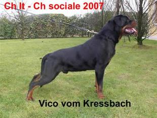 Vico vom Kressbach Vico vom Kressbach