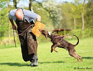 Fido European K9 training base Fido European K9 training base