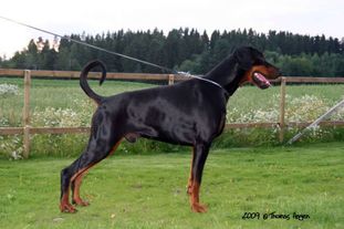 Lord Litro von Silverkrohn Lord Litro von Silverkrohn
