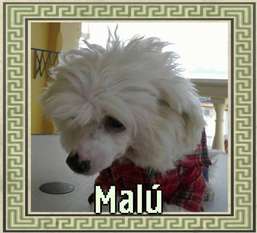 Malú Malú