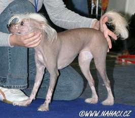 Fanny Od Kimovy Boudy Fanny Od Kimovy Boudy