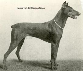 Mona von der Margartenau Mona von der Margartenau
