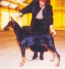 Winston vom Franckenhorst Winston vom Franckenhorst