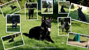 Binah von Pentavita Binah von Pentavita