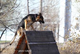 Pskovland Mikra Pskovland Mikra