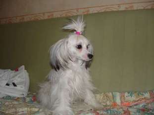 Sleek Slim Pet-baby Egoza Sleek Slim Pet-baby Egoza