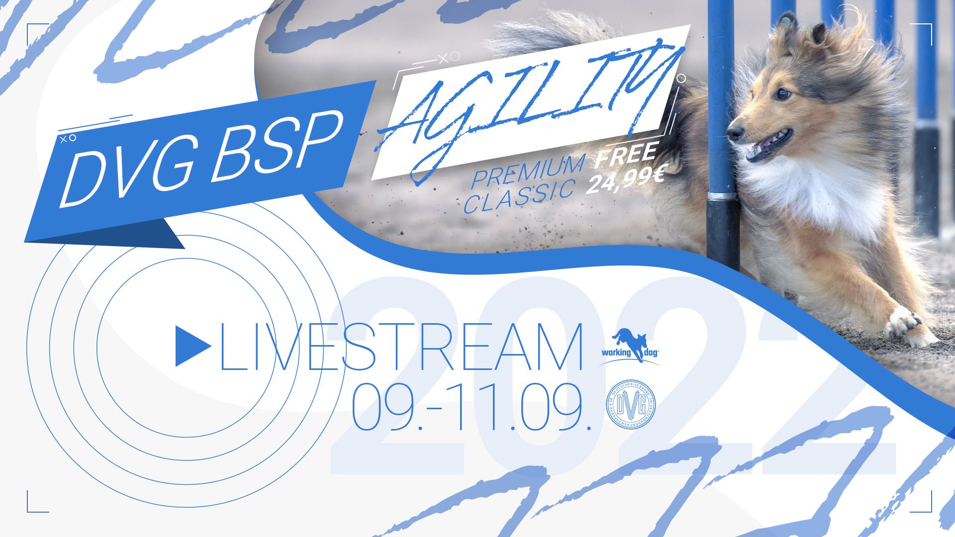 Livestream workingdog