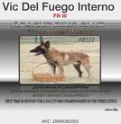 Vic del Fuego Interno