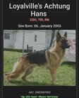 Loyalville's Achtung Hans
