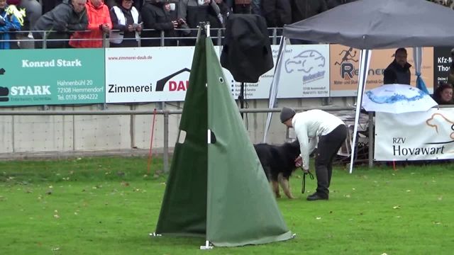 Hovawart Umbrella