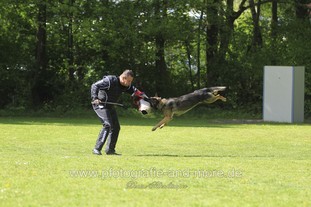 Bushido von Hund und Sport Bushido von Hund und Sport